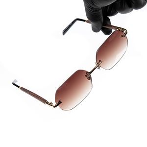 Brown Gradient Tint Men's Hip Hop Sunglasses